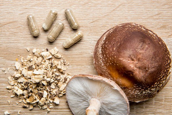 Teelixir How to Find the Best Quality Mushroom Products