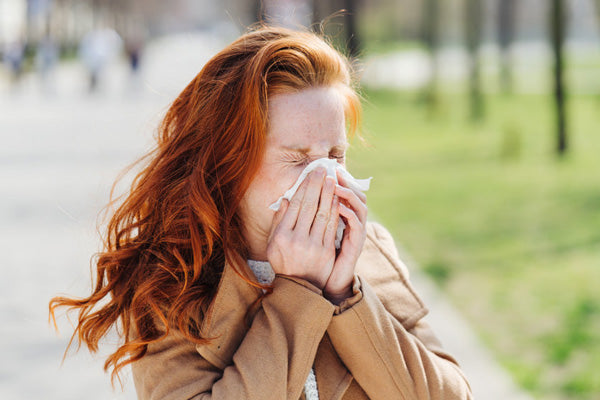 The 6 Best Adaptogens to Fight Allergies Naturally Teelixir