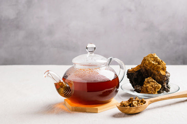 Teelixir wild Chaga Mushroom Tea Explained buy online in Australia - what does chaga tea taste like?