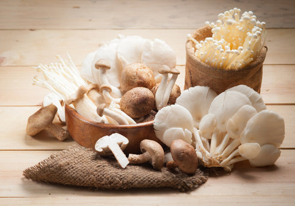 Teelixir Mushroom Nutritional Information Explained Mushroom nutrition Mushroom nutritional value