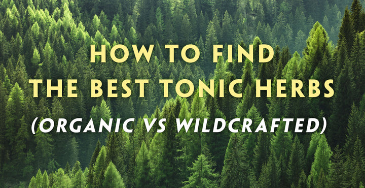 How to find the best tonic herbs (Certified Organic vs Wildcrafted Herbs) Teelixir