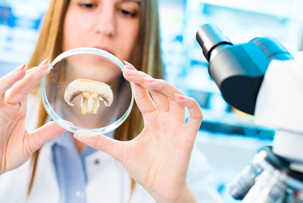 Teelixir Blog Article - How Women Shaped Mycology Medicinal Mushroom Science
