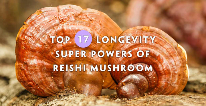 Top 17 Health Benefits of Reishi Mushroom (Backed By Science)