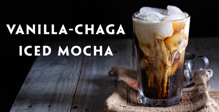 Teelixir Vanilla-Chaga Mushroom Iced Mocha Coffee Recipe