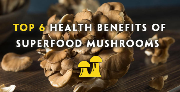 Top 6 Health Benefits of Medicinal Mushrooms